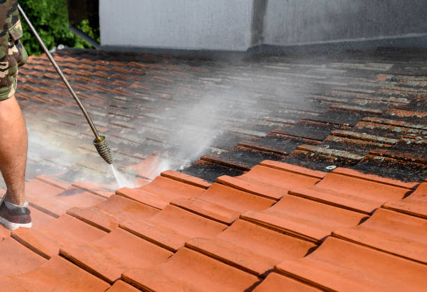 Best Garage Pressure Washing  in Port Neches, TX