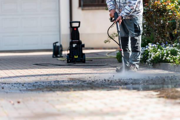Best Roof Power Washing Services  in Port Neches, TX