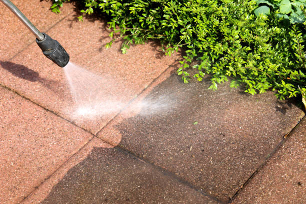 Best Deck Pressure Washing  in Port Neches, TX