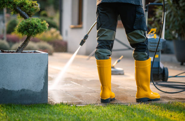 Best Affordable Power Washing  in Port Neches, TX